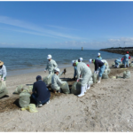 三池港海岸清掃活動　今年も参加しました！